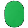 vidaXL 2 in 1 Oval Studio Background Screen Green and Blue 200x150 cm