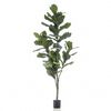 Product Thumbnail Image 2 of 2