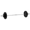 vidaXL Barbell with Plates Set 30 kg Cast Iron