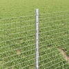 Product Thumbnail Image 4 of 13