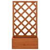 Product Thumbnail Image 2 of 6