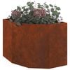 Product Thumbnail Image 3 of 14