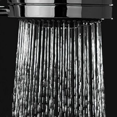 Tiger Shower Head Boston Massage Stainless Steel Polished