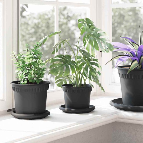 Showing Product Image 4 of 12