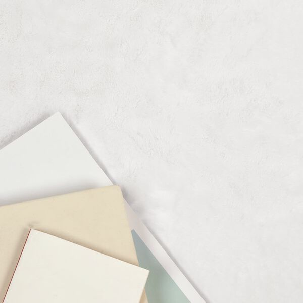 vidaXL Faux Rabbit Fur Rug Olite White Ø 160 cm Polyester