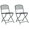 vidaXL Garden Chairs 2 pcs Anthracite Iron Convertible