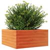 vidaXL Garden Planter Wax Brown 50x50x23 cm Solid Wood Pine
