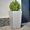Product Thumbnail Image 2 of 13