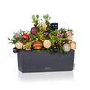 Product Thumbnail Image 9 of 13