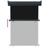 vidaXL Balcony Side Awning 125x250 cm Black