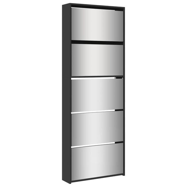 vidaXL Shoe Cabinet with Mirror 5-Layer Black 63x17x169.5 cm