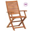 vidaXL Folding Chairs with Armrest 2 pcs Solid Wood Acacia