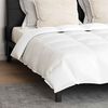 vidaXL Duvet Set with Pillow 3 pcs White Down Feather