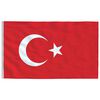 vidaXL Turkey Flag and Pole 5.55 m Aluminium