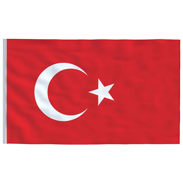 vidaXL Turkey Flag and Pole 5.55 m Aluminium