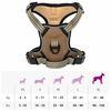 Product Thumbnail Image 14 of 14