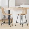 vidaXL Bar Chair 2 pcs Natural 44.5 x 54.5 x 97.5 cm Rattan and Iron