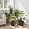 Product Thumbnail Image 4 of 12