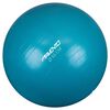 Avento Fitness/Gym Ball Dia. 65 cm Blue