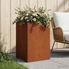 Product Thumbnail Image 2 of 10
