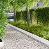 Product Thumbnail Image 2 of 9