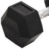 vidaXL Dumbbells 2 pcs 25 kg Total Cast Iron