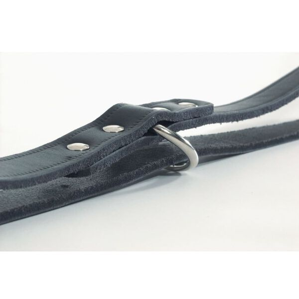 Beeztees Training Leash Leather Black 200x1.2 cm 736391