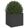 Product Thumbnail Image 4 of 11