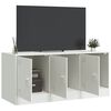 vidaXL TV Cabinet White 99x39x44 cm Steel
