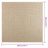 vidaXL Rug ZIZUR Beige 200x200 cm Jute Look Indoor and Outdoor