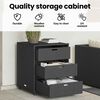 Product Thumbnail Image 4 of 14