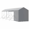 vidaXL Outdoor Dog Kennel with Roof Silver 2x10x2.5 m Galvanised Steel