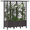Product Thumbnail Image 3 of 9