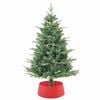 Product Thumbnail Image 3 of 8