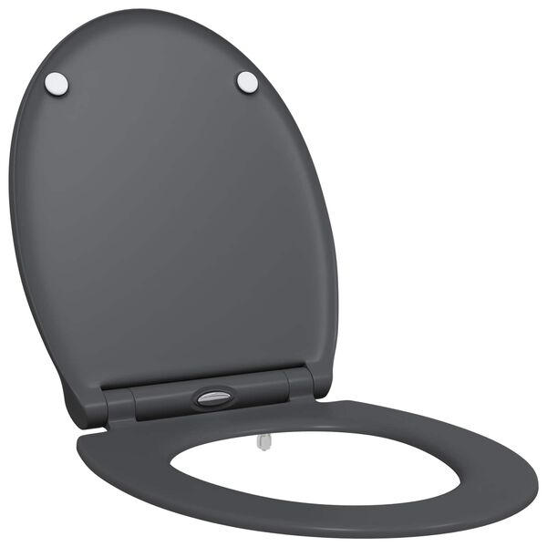 vidaXL Toilet Seat Anthracite 47 x 37.5 x 3.8 cm Duroplast