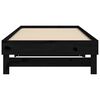 vidaXL Pull-out Day Bed without Mattress Black 2x(80x200) cm