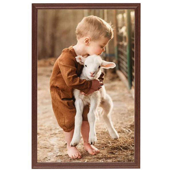 vidaXL Photo Frames Collage 5pcs for Table Brown 21x29.7cm MDF