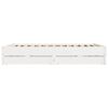 Product Thumbnail Image 8 of 11