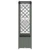 Product Thumbnail Image 4 of 8