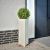 Product Thumbnail Image 2 of 10