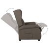vidaXL Recliner Chair Brown Fabric