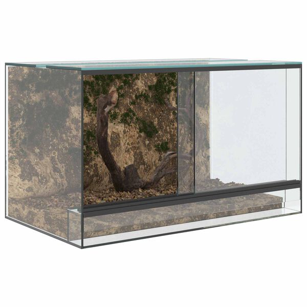 vidaXL Terrarium with Storage Transparent 50 x 30 x 30 cm Glass