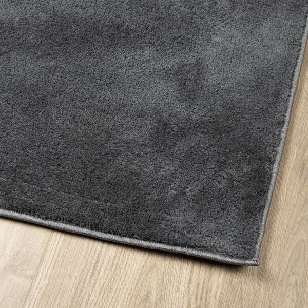 vidaXL Rug OVIEDO Short Pile Anthracite 240x240 cm
