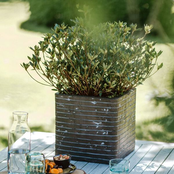 Capi Planter "Nature Row" Square 30x30x30 cm Olive Green