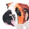 Product Thumbnail Image 3 of 5