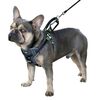 Kerbl Pet Car Safety Harness 44-55 cm Black