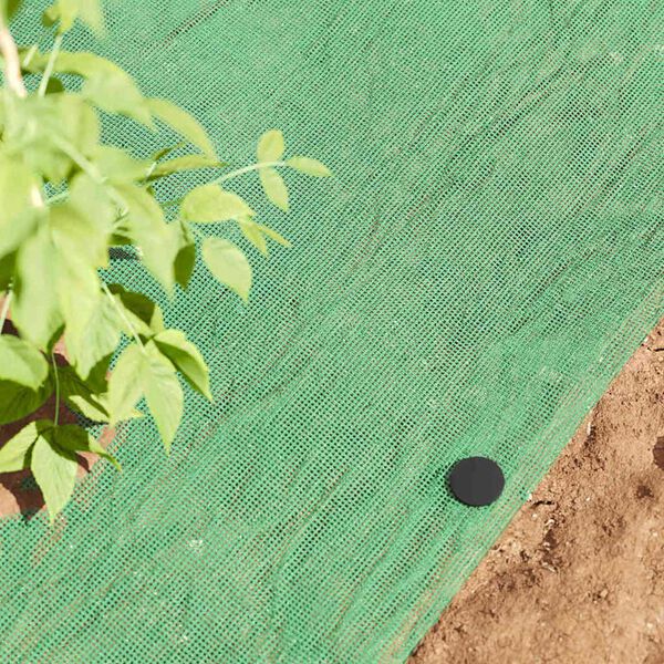 vidaXL Ground Pegs 500 pcs Black &Oslash;3 x 11 cm Plastic