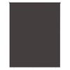 vidaXL Outdoor Roller Blind UV Protection Anthracite