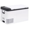 vidaXL Cool Box with Handle Black and White 25 L PP & PE
