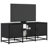 vidaXL TV Cabinet Black 100x35x41 cm Engineered Wood and Metal